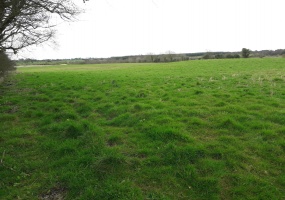 Cloonoghill, Co. Roscommon., ,Agricultural Land,Sold,1032