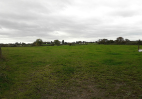 Glasson, Co. Westmeath., ,Agricultural Land,Sold,1037